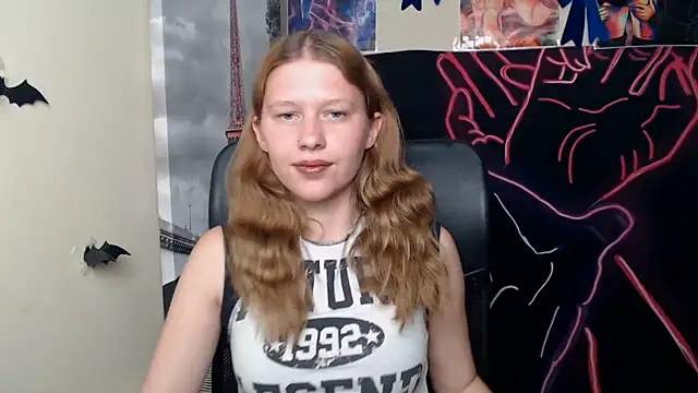 StellaCRL webcam