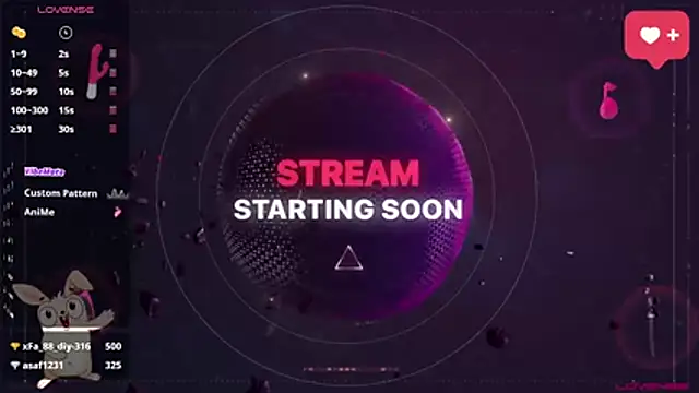 anitacruise webcam