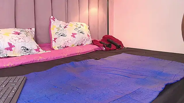 HallyBans webcam