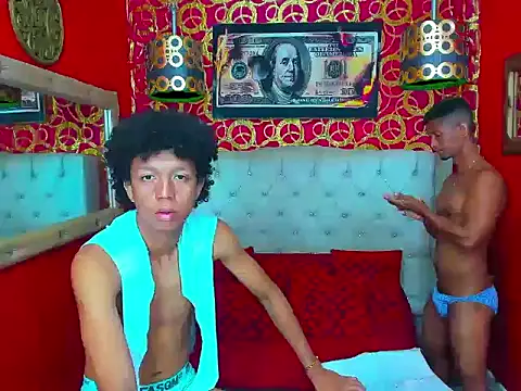 PEINBOYS webcam