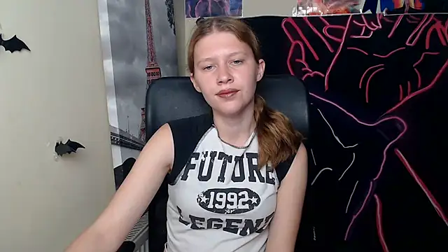 StellaCRL webcam