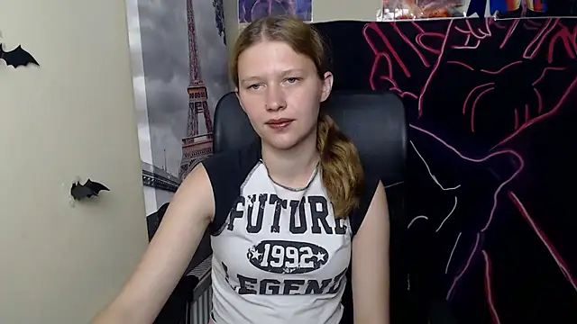 StellaCRL webcam