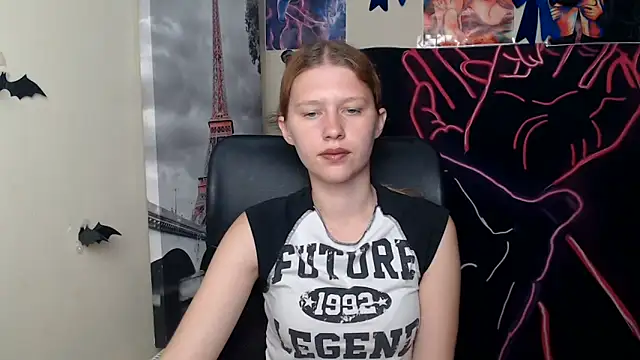 StellaCRL webcam