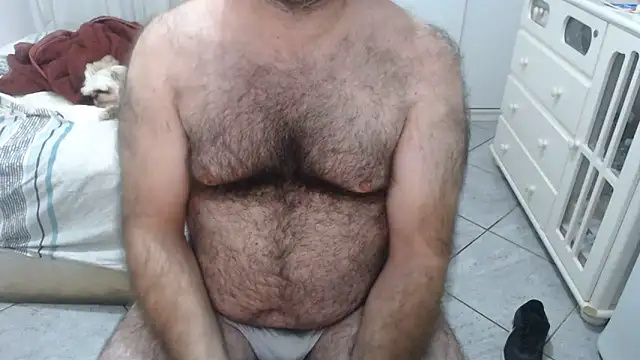 MysterBearMG webcam