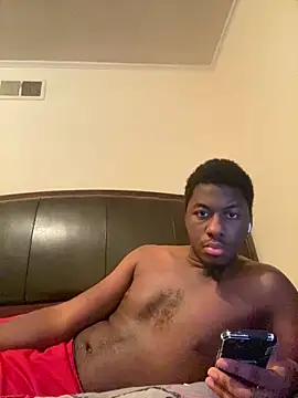 ThickDic28 webcam