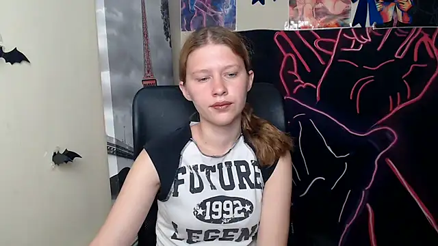 StellaCRL webcam