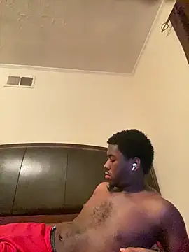 ThickDic28 webcam