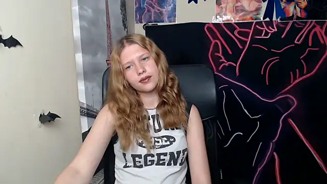 StellaCRL webcam