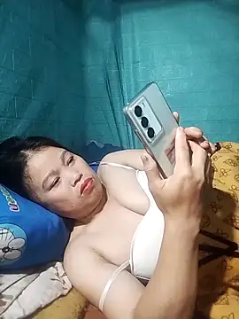 opna43 webcam