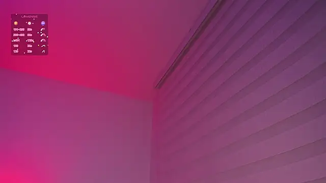 K2xxKrawl webcam