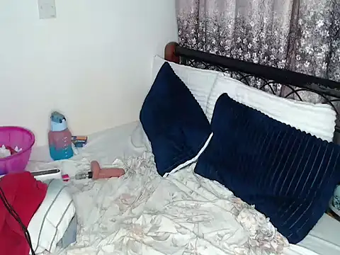 Whimsicalwillow webcam