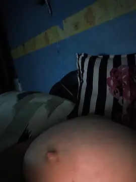 poussychats webcam