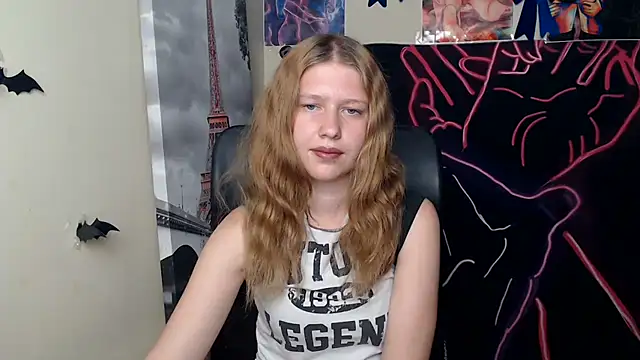StellaCRL webcam