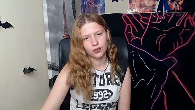 StellaCRL webcam