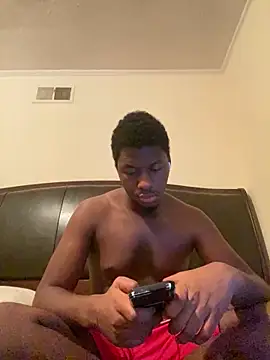 ThickDic28 webcam
