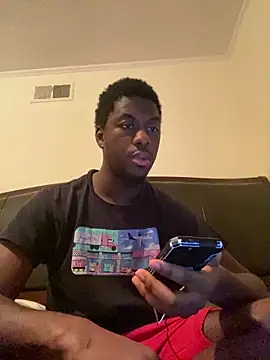 ThickDic28 webcam