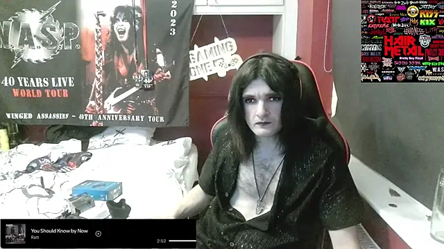 Rocker_Assassin_WASP_FAN webcam