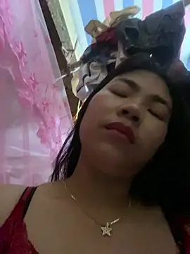 Nul_chal webcam