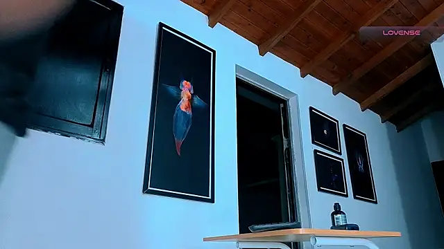SilvaBranko webcam