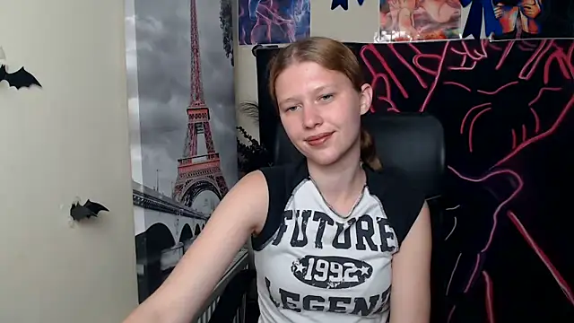 StellaCRL webcam