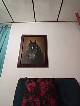 IsisBlake webcam