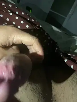 Apuci29 webcam