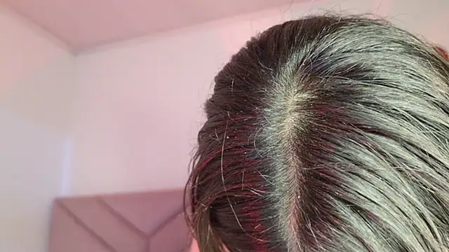 eva_sin18 webcam