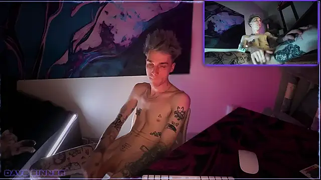 davesinner webcam