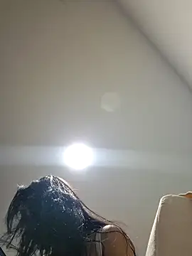 Artt_Juli webcam