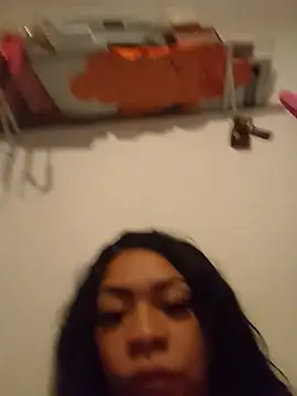 Anapaulk webcam