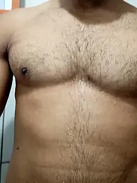 Scandnavo webcam