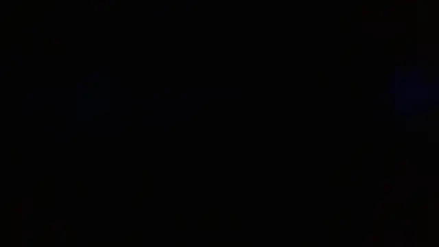 Blauwe_Vinkje webcam