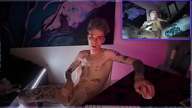 davesinner webcam