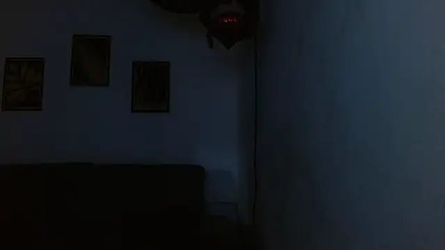 drake_laconte webcam