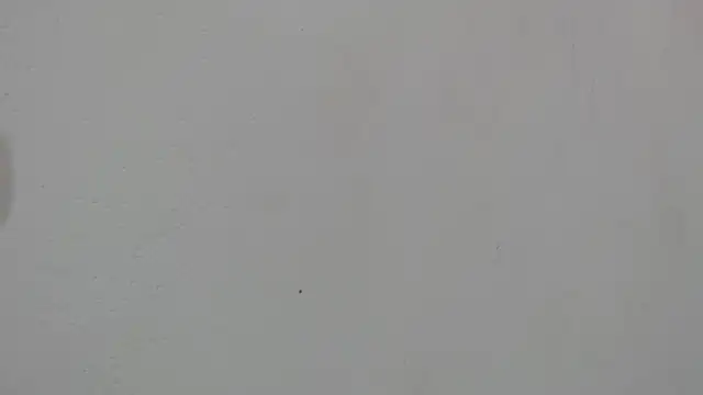 maidycute18 webcam