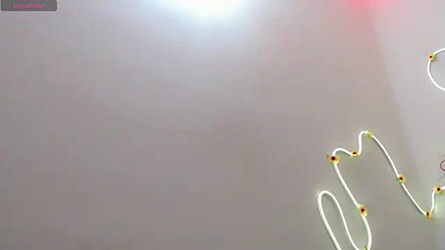 everlin_01 webcam