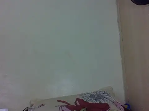 vinsishly webcam
