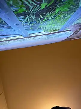 sexysmithbaby webcam
