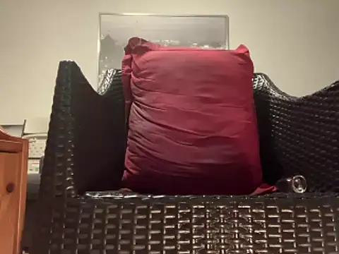 Tyyson03 webcam