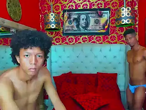 PEINBOYS webcam