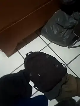 Lotusproject webcam