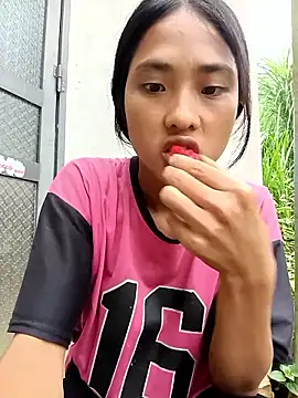 Hoa-tuylip webcam