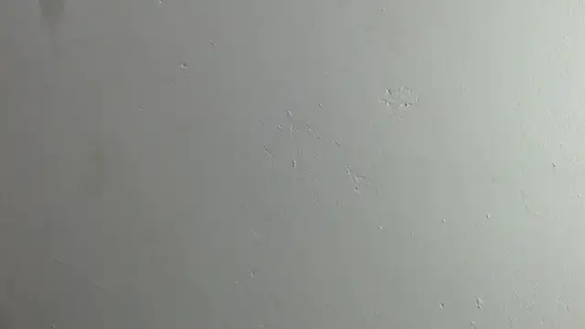 Nikki__uwu webcam