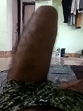 nilu_5633 webcam
