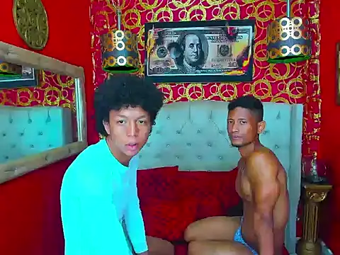 PEINBOYS webcam