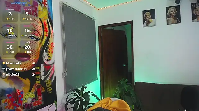 shellsy_hans webcam