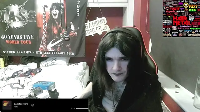 Rocker_Assassin_WASP_FAN webcam