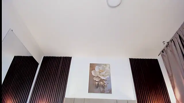 _MiLa_Dyva webcam
