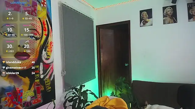 shellsy_hans webcam
