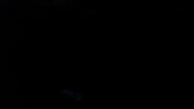 MaxRouger webcam